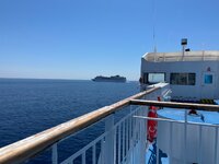 IMG_1531.jpeg