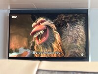 IMG_1537.jpeg