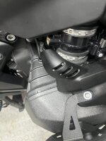 IMG_9288.jpeg