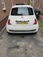 IMG_8297.jpeg IMG_8297.jpeg