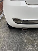 IMG_8298.jpeg IMG_8298.jpeg