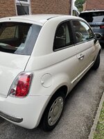 IMG_8299.jpeg IMG_8299.jpeg