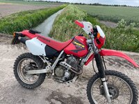 IMG_1274.jpeg