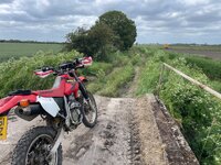 IMG_1275.jpeg