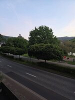 20260608_051555.jpg