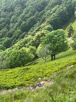 IMG_6044.jpeg IMG_6044.jpeg