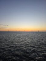 20260609_042407.jpg