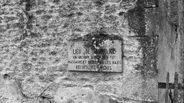 IMG_3074.jpeg
