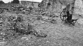 IMG_3078.jpeg