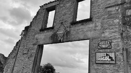 IMG_3080.jpeg
