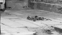 IMG_3097.jpeg