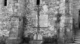 IMG_3102.jpeg