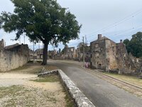 IMG_3299.jpeg