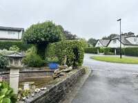 IMG_2581.jpeg