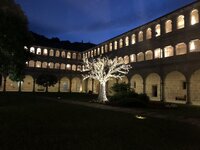 IMG_3689.jpeg IMG_3689.jpeg