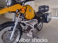 wilber shocks.jpg