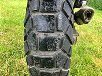 IMG_8850.jpeg