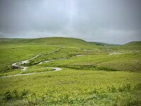IMG_2619.jpeg