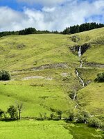 IMG_2651.jpeg