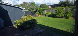 20260611_180156.jpg