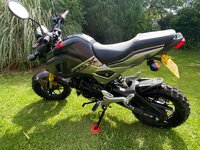 IMG_2907.jpeg