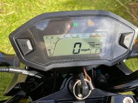 IMG_2908.jpeg