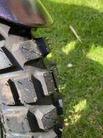 IMG_2911.jpeg