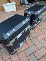 IMG_7901.jpeg