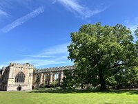 IMG_2694.jpeg