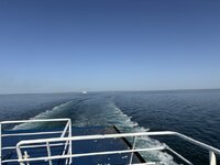 IMG_2118.jpeg IMG_2118.jpeg