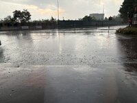 IMG_2160.jpeg IMG_2160.jpeg