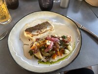 IMG_2239.jpeg IMG_2239.jpeg