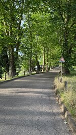 IMG_9309.jpeg