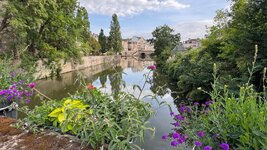 IMG_9281.jpeg