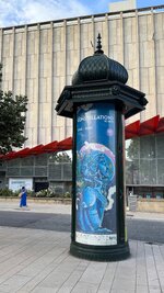 IMG_9298.jpeg