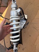 IMG_7863.jpeg