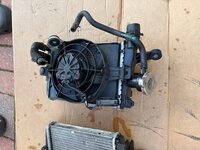 IMG_7871.jpeg