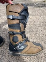 IMG_2562.jpeg