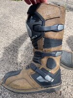 IMG_2561.jpeg