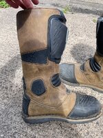 IMG_2560.jpeg
