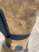 IMG_2559.jpeg