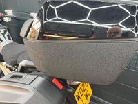IMG_0060.jpeg