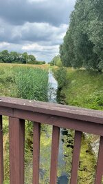 IMG_9341.jpeg