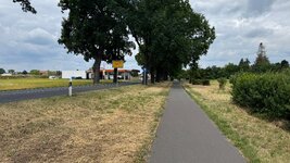 IMG_9342.jpeg IMG_9342.jpeg