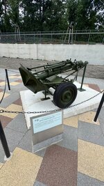 IMG_9350.jpeg