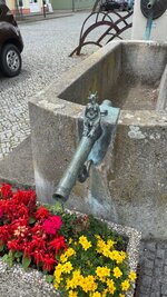 IMG_9406.jpeg