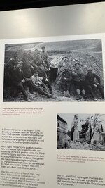 IMG_9395.jpeg