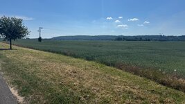IMG_9423.jpeg