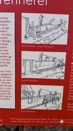 IMG_9427.jpeg