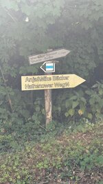 IMG_9430.jpeg